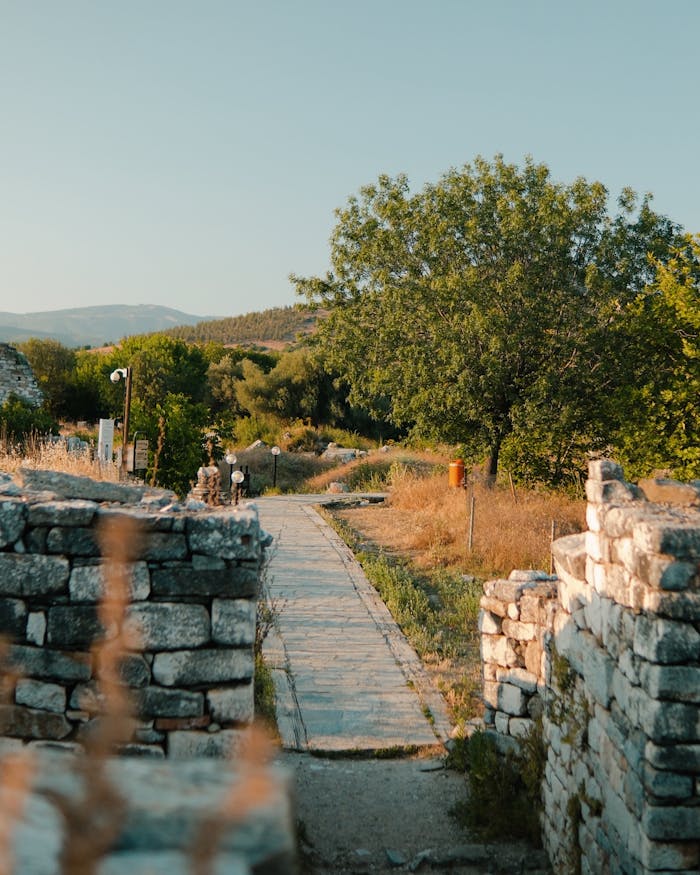 Stone pathway through ancient ruins surrounded by lush greenery under a clear sky.