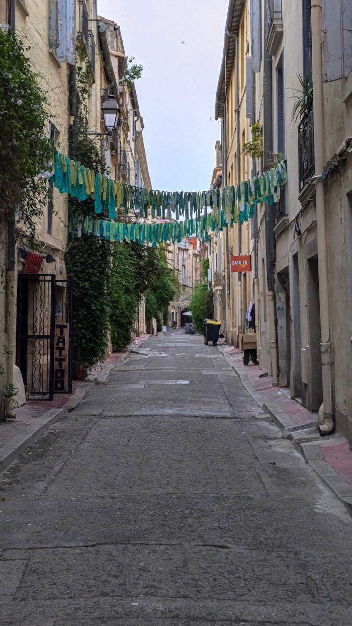 quaint-montpellier-street-with-hanging-decor-32706393